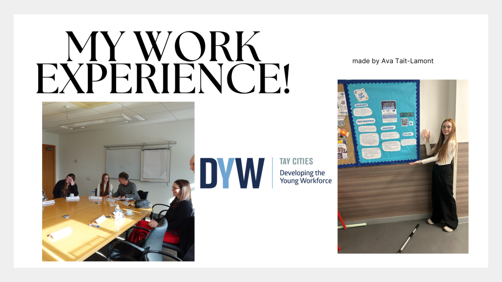 DYW Work Experience